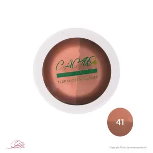 Cactus highlighter and contouring No. 41