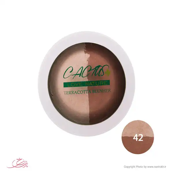 Cactus highlighter and contouring No. 42