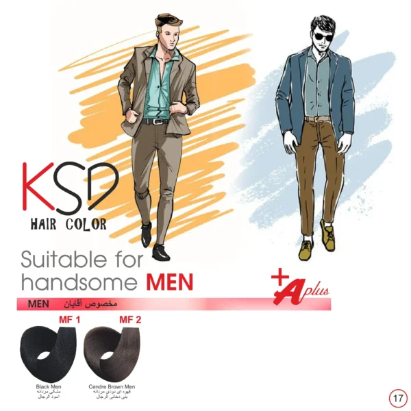 رنگ مو کی اس دی KSD سری مردانه