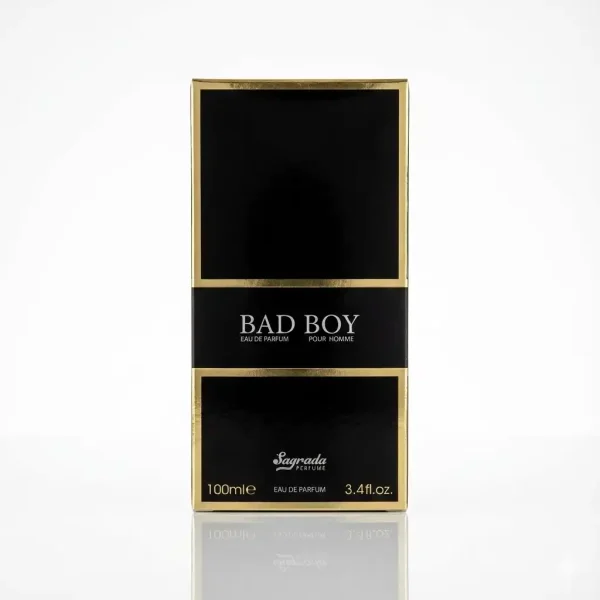 ادکلن بد بوی Bad Boy مردانه ساگرادا 100 میل
