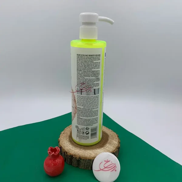 لوسیون بدن نمک دریا پوست خشک گارنیک 400 میل